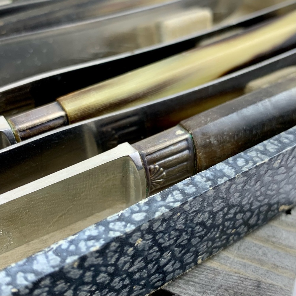 VINTAGE BUTTERKNIFE SET W/CASE BONE LIKE HANDLES - Picture 7 of 11